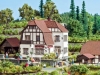 Weingut Hauser-Bühler aus Bickensohl (Kaiserstuhl) von Noch
