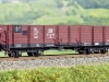 Offener Vierachser-Sachse von Glöckner|Foto: ch