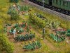 Gestalten eines Gemüsegartens | Foto: Jean Buchmann
